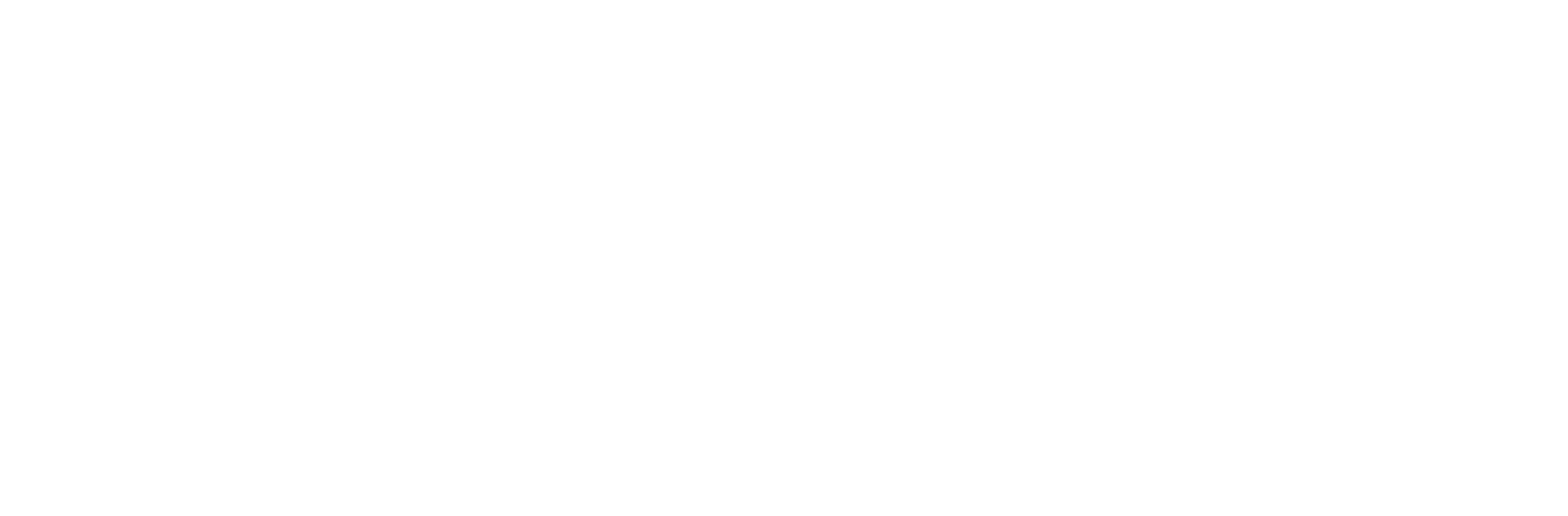 google white png logo
